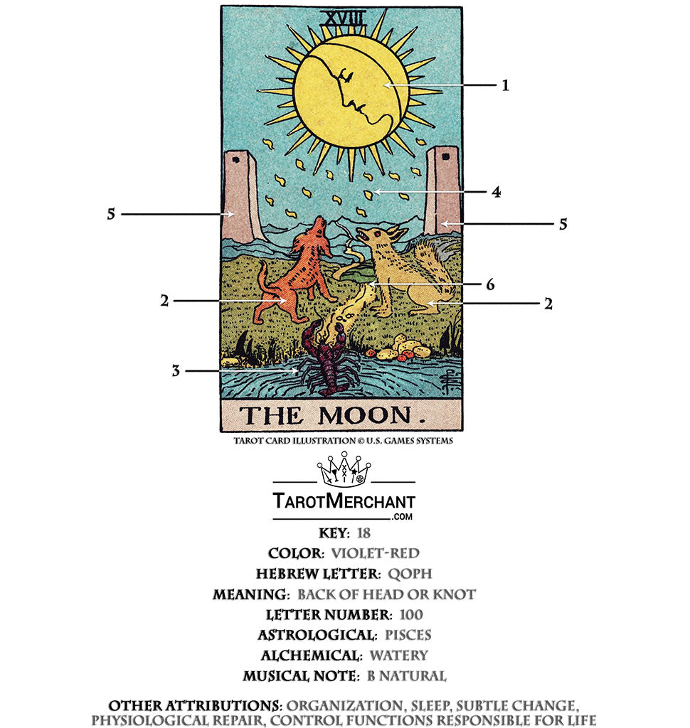 The Moon Tarot flashcard upright and reversed meaning by The Tarot Guide, Major Arcana, free Tarot reading, Online Ta…